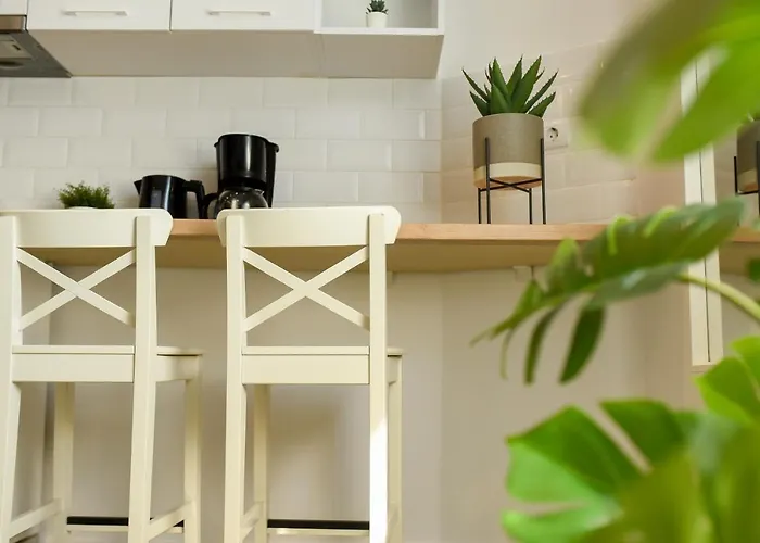 Classy Comfort - Chic On Regina Elisabeta *