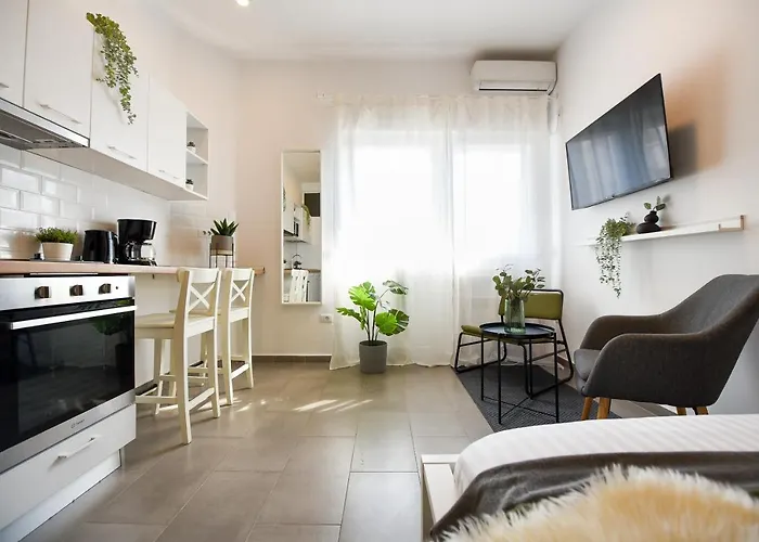 Classy Comfort - Chic On Regina Elisabeta Apartman
