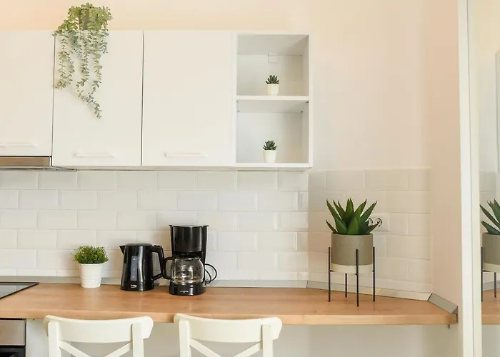 Apartment Classy Comfort - Chic On Regina Elisabeta